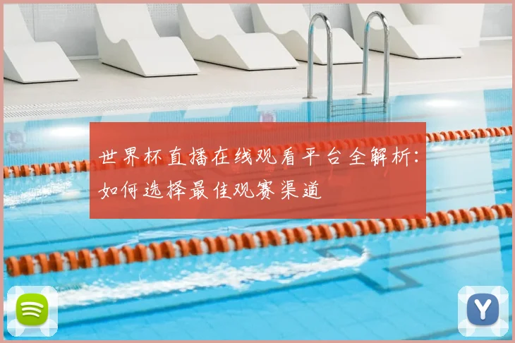 世界杯直播在线观看平台全解析：如何选择最佳观赛渠道