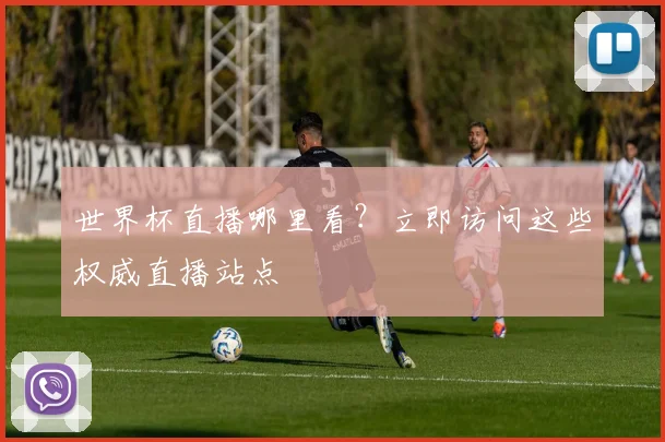世界杯直播哪里看？立即访问这些权威直播站点