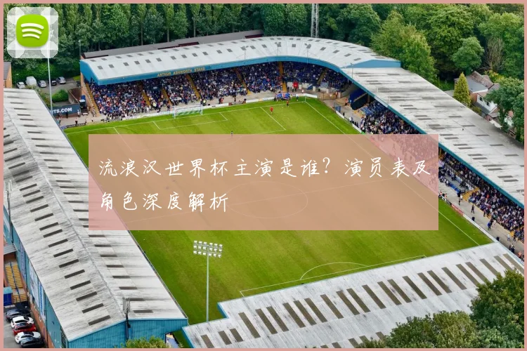 流浪汉世界杯主演是谁?演员表及角色深度解析