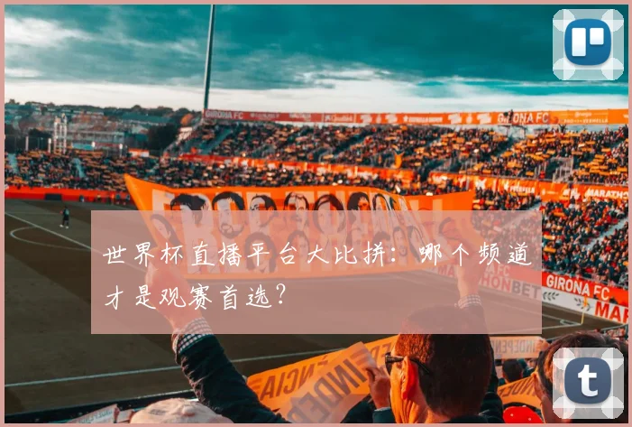 世界杯直播平台大比拼:哪个频道才是观赛首选?