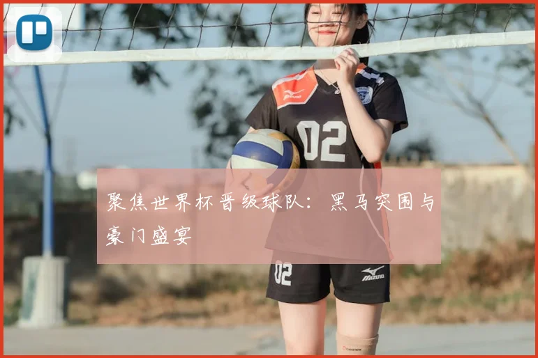 聚焦世界杯晋级球队：黑马突围与豪门盛宴