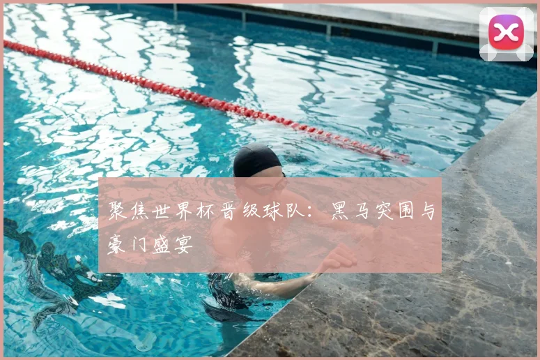 聚焦世界杯晋级球队：黑马突围与豪门盛宴