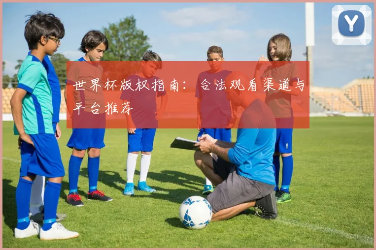 世界杯版权指南:合法观看渠道与平台推荐